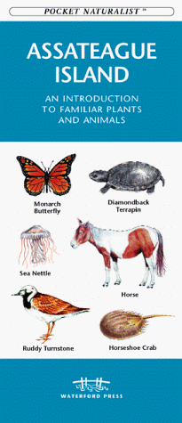 Assateague Island book cover