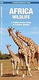 Africa Wildlife A Folding Pocket Guide To Familiar Animals