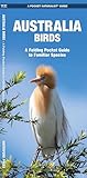 Australia Birds A Folding Pocket Guide To Familiar Species