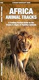 African Animal Tracks A Folding Pocket Guide To The Tracks Signs Of Familiar Animals Wildlife And Nature Identification