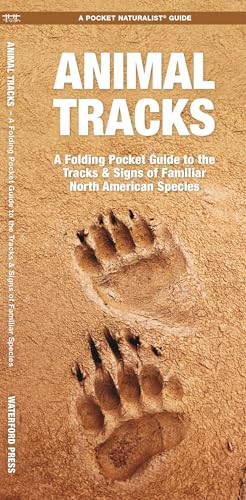 Animal Tracks book cover
