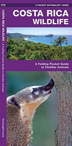 Appalachian Trail Wildlife: An Introduction to Familiar Species book cover
