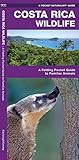 Costa Rica Wildlife A Folding Pocket Guide To Familiar Animals