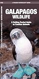 Galapagos Wildlife A Folding Pocket Guide To Familiar Animals Wildlife And Nature Identification