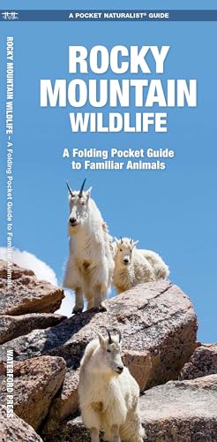 Rocky Mountain Wildlife book cover
