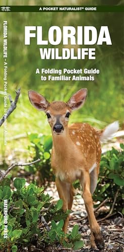 Florida Wildlife book cover