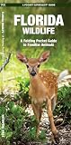 Florida Wildlife A Folding Pocket Guide To Familiar Animals Wildlife And Nature Identification