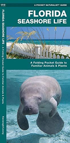 Florida Seashore Life: A Folding Pocket Guide to Familiar Plants and Animals cover