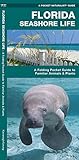 Florida Seashore Life A Folding Pocket Guide To Familiar Animals And Plants Wildlife And Nature Identification