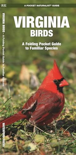 Virginia Birds book cover