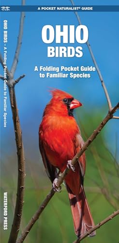 Ohio Birds book cover