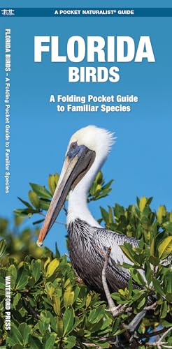 Florida Birds book cover