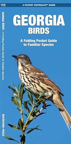 Georgia Birds book cover