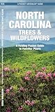 North Carolina Trees Wildflowers A Folding Pocket Guide To Familiar Plants Wildlife And Nature Identification
