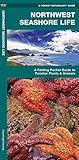 Northwest Seashore Life A Folding Pocket Guide To Familiar Plants Animals Wildlife And Nature Identification