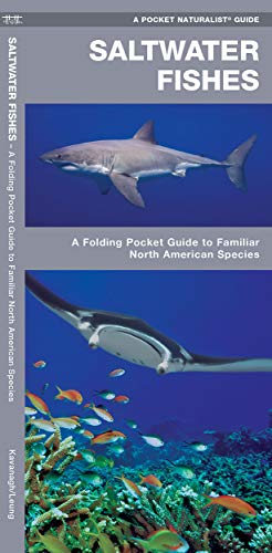 Saltwater Fishes book cover