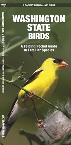 Washington State Birds book cover