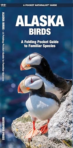 Alaska Birds book cover