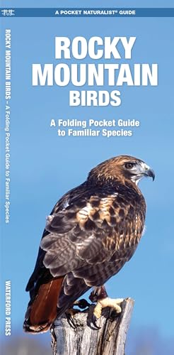 Rocky Mountain Birds book cover