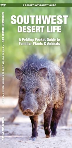 Southwest Desert Life & Animals book cover