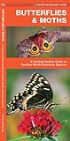 Butterflies Moths A Folding Pocket Guide To Familiar North American Species A Pocket Naturalist Guide