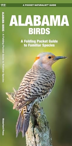 Alabama Birds book cover
