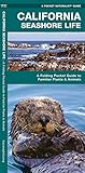 California Seashore Life A Folding Pocket Guide To Familiar Plants Animals Wildlife And Nature Identification