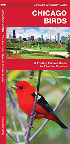 Chicago Birds in Northeastern Illinois cover