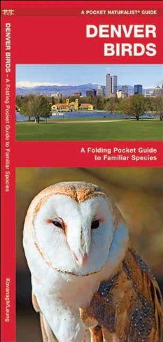 Denver Birds book cover