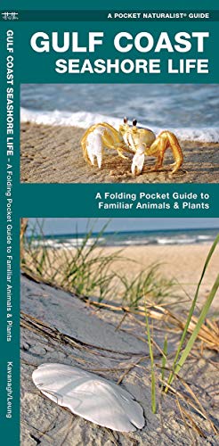 Gulf Coast Seashore Life and Animals book cover