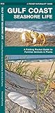 Gulf Coast Seashore Life A Folding Pocket Guide To Familiar Animals And Plants Wildlife And Nature Identification