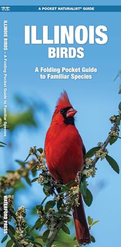 Illinois Birds cover