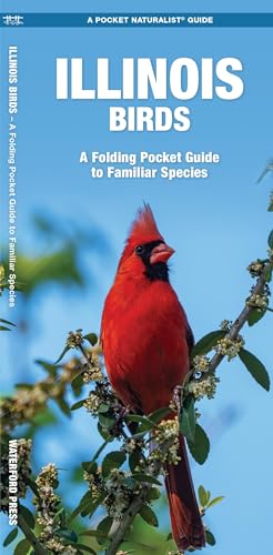 Illinois Birds book cover
