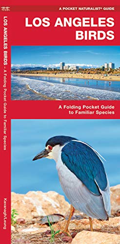 Los Angeles Birds book cover