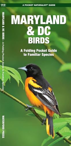 Maryland & DC Birds book cover