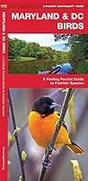 Maryland & DC Birds: A Folding Pocket Guide to Familiar Species