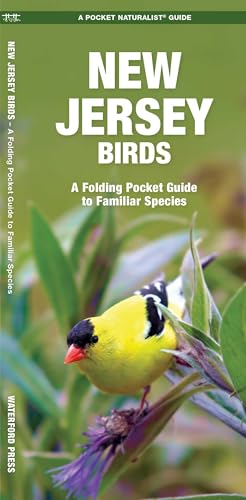New Jersey Birds book cover
