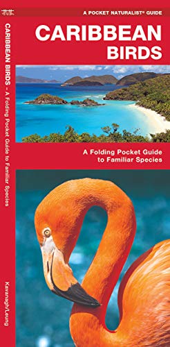 Caribbean Birds book cover