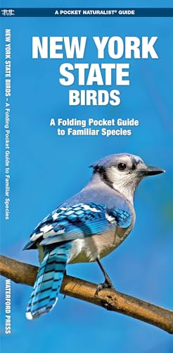 New York State Birds book cover
