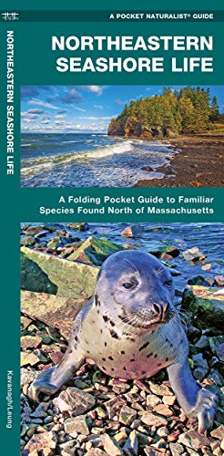 Northeastern Seashore Life book cover