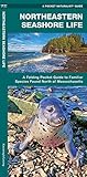 Northeastern Seashore Life A Folding Pocket Guide To Familiar Species Found North Of Massachusetts Wildlife And Nature Identification