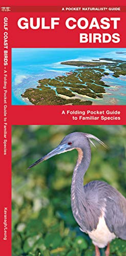 Gulf Coast Birds: A Folding Pocket Guide to Familiar Species cover