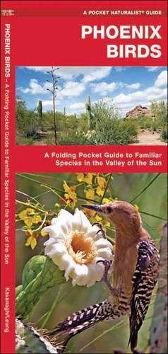Phoenix Birds book cover