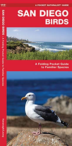 San Diego Birds book cover