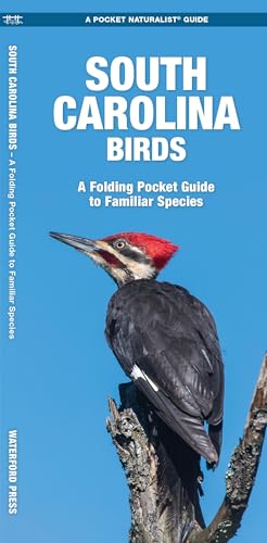 South Carolina Birds book cover