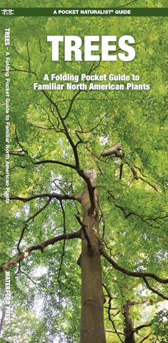 Texas Seashore Life: A Folding Pocket Guide to Familiar Coastal Plants &amp; Animals book cover