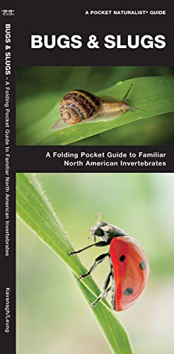 Bugs & Slugs book cover