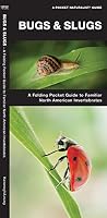 Bugs & Slugs: A Folding Pocket Guide to Familiar North American Invertebrates