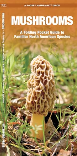 Mushrooms book cover