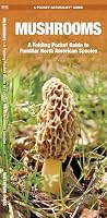 Mushrooms: A Folding Pocket Guide to Familiar North American Species